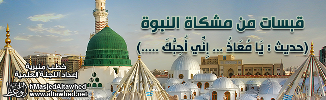 قبسات من مشكاة النبوة قبسات من مشكاة النبوة