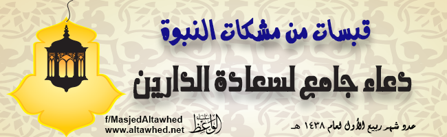 قبسات من مشكاة النبوة قبسات من مشكاة النبوة